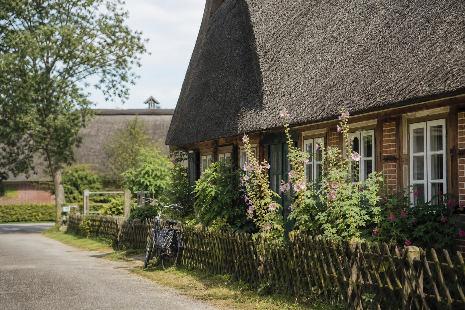Reetgedecktes Haus in der Heide